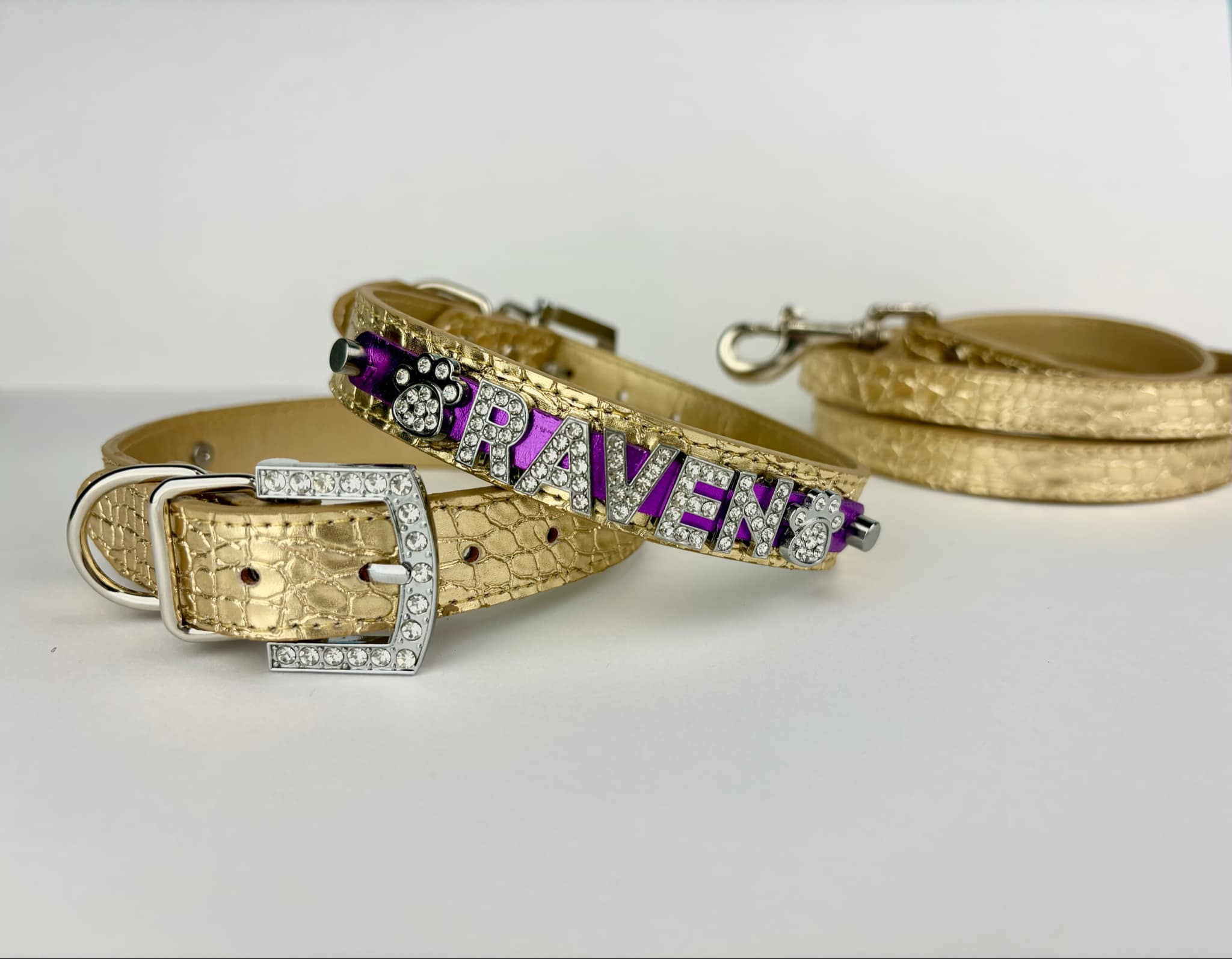 Gold Spirit Series Personalized Collar | 9 Color Options
